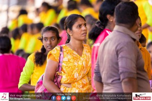 12091175_10154299758294251_4414372952763765159_o